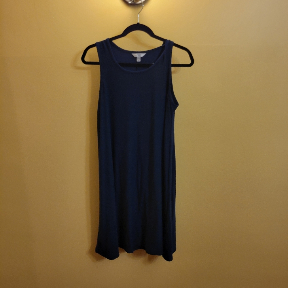 Time and Tru dress